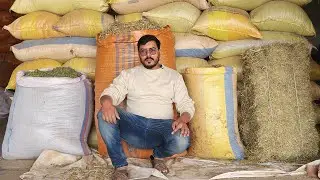 جانوروں کی خشک خوراک ہول سیل ریٹ پر دستیاب ہے 0340-4325922  #Mongikamissa# #Alfalfahey 