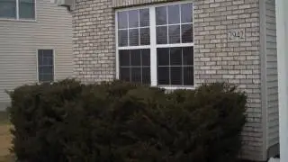 Beautiful Ranch in  Dornoch Estates for rent... Olentangy Schools