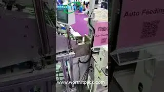 FC 300A friction feeder with auto banding bunling machine