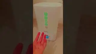 20 октября 2024 г.