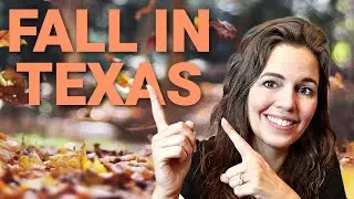 Fall Activities to do in the Houston Texas Area!