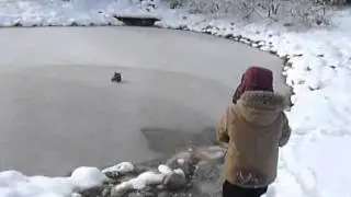 SnowDriver