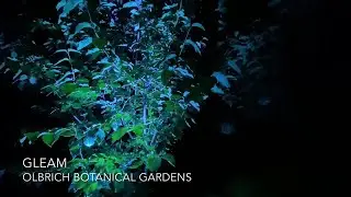 Watch now: Take a tour of GLEAM at Olbrich Botanical Gardens