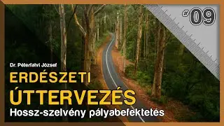 Hossz-szelv&eacute;ny p&aacute;lyabefektet&eacute;s