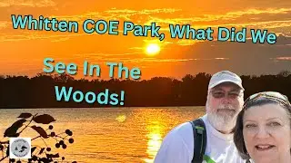 Whitten COE Park, MS  What Did We See In The Woods!