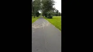 Elder Park -  Junior Park Run Course