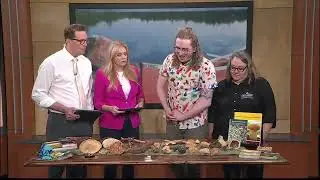 Minnesota Mushrooms