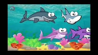 Bebe tubaron vs un tiburon