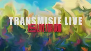 Live for God Krems | Duminica 01.02. | Tiberiu Naia | Angelologie