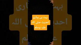 بہت ہی پیاری اور خوبصورت احدیث #sadaeislam #veralislam #hadeesshareef #veralyoutube #varalvideo