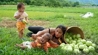 Harvest a giant melon garden with your children to sell at the central market - cook pig bran