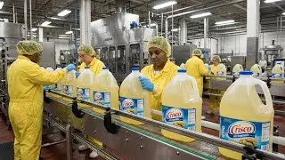 From Soybean Fields to Oil Bottles: How Soybean Oil Is Made | Full Production Process Documentary
