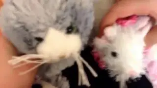 Webkinz truth or dare
