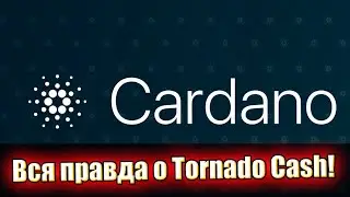 Шокирующее заявление! Хоскинсон выдал: вся правда о Tornado Cash &ndash; неконтролируемая ситуация. Детали