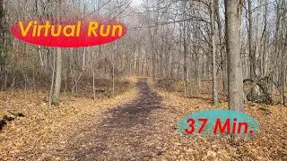 Virtual Run - Video for Treadmill - Fall Forest Trail