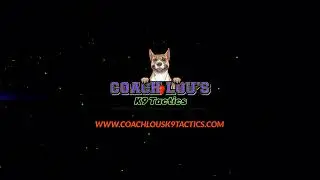 Introducing Coach Lou's K9 Tactics LLC