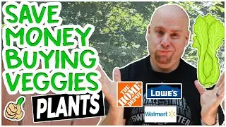 Buying Vegetable Plants the Right Way | Money Saving Tips