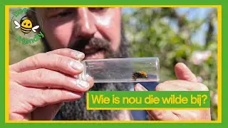 Bijenpraat | Help de Wilde Bij! #3