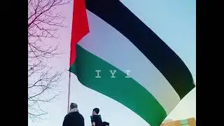 Kashmir Palestine ka vasi Katha💔💔💔