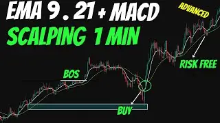 1 Minute Scalping Strategy Wins EVERY DAY (EMA9.21+MACD Profitable)