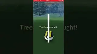 Random Encounter Shiny Treecko plus Evolution into Shiny Grovyle in Pok&eacute;mon Go #shinypokemon