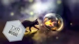 Echoes (TXR Wizard Music ANIMATION)
