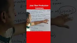 Jute Production Process Summary | E Spot |