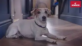 Howdens - The UK's No.1 Trade Kitchen Supplier | Archie's Story