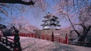 ［HD］満開の弘前公園の桜(sakura)物語  『弘前 桜まつり』CHERRY BLOSSOM in HIROSAKI 花の名所案内