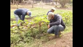 Video institucional ENA
