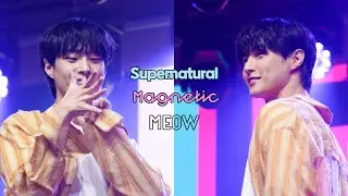 [4K] 오진석 - dance cover [supernatural / magnetic / meow]  / 250119 오진석 팬미팅 1부 #obon #ohjinseok #오진석