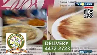 L&iacute;nea de 3 26/1/2026
