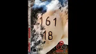 Juego de numeradores para marcar ganado