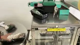 mushroom tray packaging machine