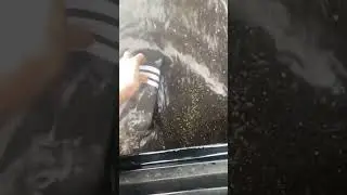 САМОЕ ГРУСТНОЕ ВИДЕО, КОТОРОЕ ВЫ КОГДА-ЛИБО УВИДИТЕ😭💔