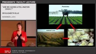 Are we Having a Pollination Crisis? | President's Faculty Lecture with Dr. Elizabeth Elle