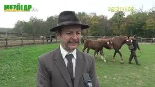 SIKERES PROGRAM A MURAKÖZI LÓ REKONSTRUKCIÓJA – Kovács-Mesterházy Zoltán