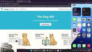 DogExplorer