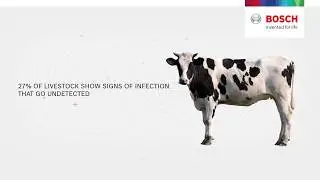 Blockchain: Connected Cattle
