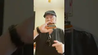 Special 20 vs Crossover vs Session Steel Harmonicas Hohner and Seydel Key of A