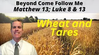 Beyond Come Follow Me: Wheat & Tares