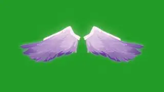 Angel wings green screen video