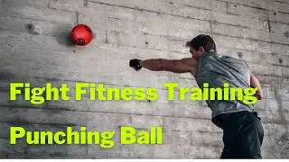 OODA Ball Portable Fight Fitness Training Punching Ball&nbsp;