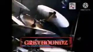 GREYHOUNDZ - Mr. PIG @ NU107 Rock Awards 1999