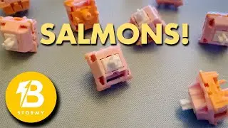 North & South Facing Switch Interference SOLVED! Salmon Switches Sound Test...