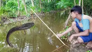 Best Fish Hunting Video | Village Boy Fishing Trap With Hook  Big Shol Fish Catching by Hook