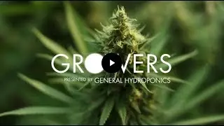 Growers: Series Intro