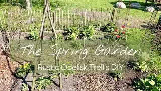 Spring | Rustic Branch Garden Obelisk Trellis DIY | Nettle tea