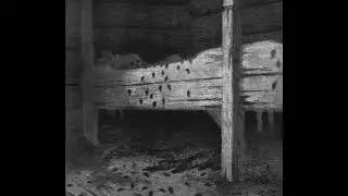Burzum - All Ambient Songs from the Early Albums (1992 - 1996)