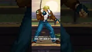 Terry Bogard Evolution 1991-2025 Fatal Fury King of Fighters